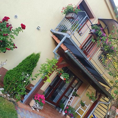 Ubytování U Špačků Pálava Novosedly  Exteriér fotografie