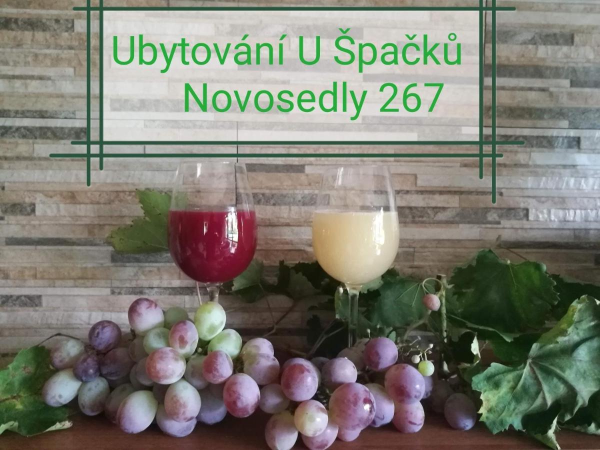 Ubytování U Špačků Pálava Novosedly  Exteriér fotografie