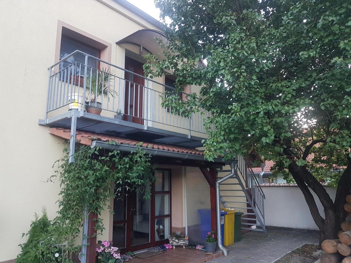Ubytování U Špačků Pálava Novosedly  Exteriér fotografie