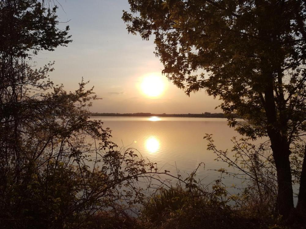 Ubytování U Špačků Pálava Novosedly  Exteriér fotografie