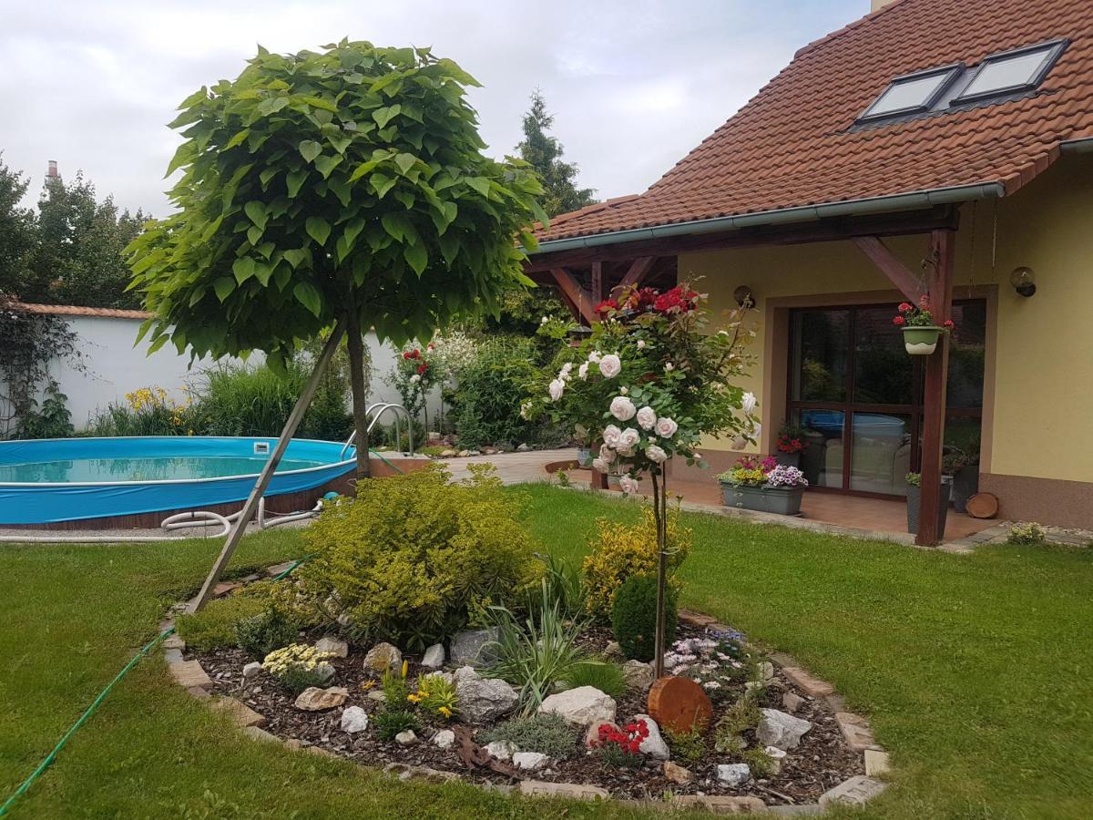 Ubytování U Špačků Pálava Novosedly  Exteriér fotografie