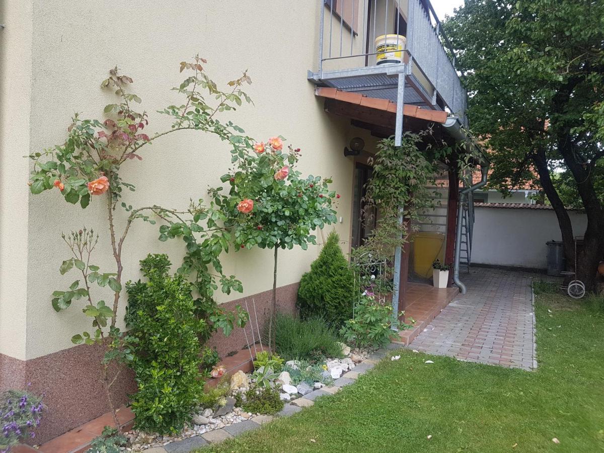 Ubytování U Špačků Pálava Novosedly  Exteriér fotografie