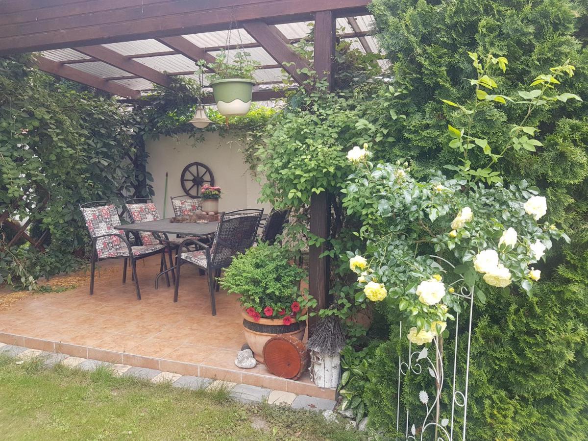 Ubytování U Špačků Pálava Novosedly  Exteriér fotografie