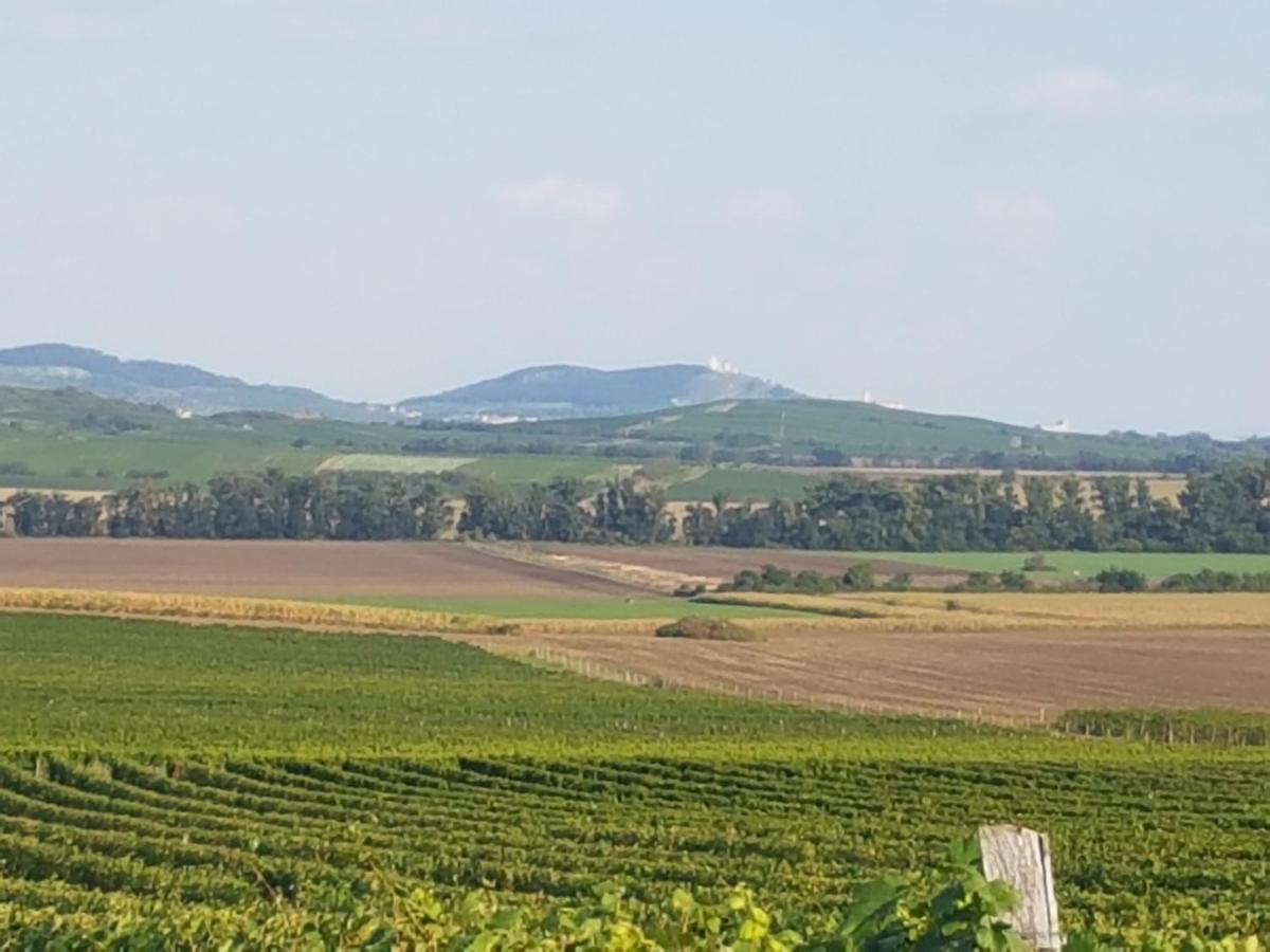 Ubytování U Špačků Pálava Novosedly  Exteriér fotografie