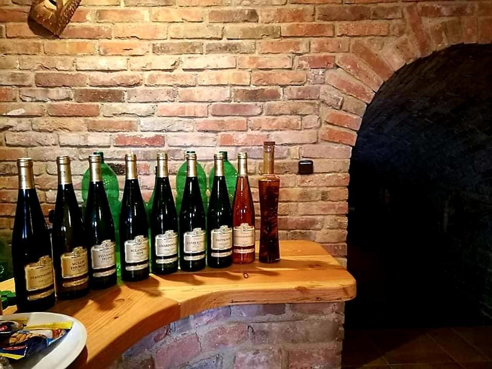 Ubytování U Špačků Pálava Novosedly  Exteriér fotografie